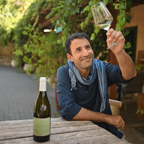 Amir Katz: wine tour guide : owner My Israel Wine tours